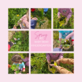 /album/baby-bear-kindergarten/baby-bear-spring-2026-png/